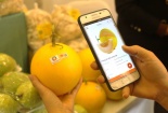 Nhận diện 4 nguyên tắc truy xuất nguồn gốc sản phẩm, hàng hoá