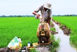 Những loại thuốc bảo vệ thực vật cấm sử dụng tại Việt Nam