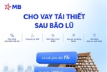 MB triển khai gói vay 2000 tỷ đồng hỗ trợ tái thiết cuộc sống cho khách hàng ảnh hưởng vùng bão lũ