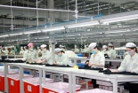Doanh nghiệp có thể tự lập mã truy vết tài sản trong truy xuất nguồn gốc? 