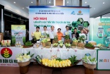 Phân Bón Cà Mau đồng hành cùng tỉnh An Giang nâng cao giá trị cây ăn trái