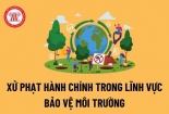 Đồng Nai: Xử phạt hai công ty do vi phạm lĩnh vực bảo vệ môi trường