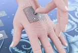 Miếng dán lấy cảm hứng từ bạch tuộc mang lại độ bám dính không gây kích ứng cho da