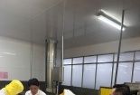 Kiên Giang: Phát hiện số lượng lớn tôm chứa tạp chất agar 