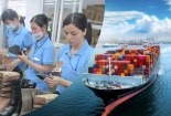 Xây dựng hệ thống tiêu chuẩn da giày: Kiểm soát chất lượng, mở rộng thị trường xuất khẩu