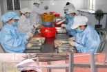 Doanh nghiệp Cà Mau áp dụng tiêu chuẩn quốc tế, đưa sản phẩm OCOP vươn ra thế giới