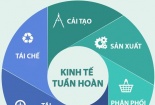 Kinh tế tuần hoàn – đo lường và đánh giá mức độ tuần hoàn