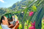 Bình Thuận đẩy mạnh chuyển đổi số và chuyển đổi xanh trong sản xuất nông nghiệp