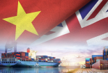 Tăng trưởng xuất khẩu cao nguy cơ một số sản phẩm bị điều tra phòng vệ thương mại tại thị trường Anh