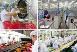 Kiểm soát chất lượng sản phẩm thực phẩm thông qua phân tích cảm quan