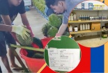 Đắk Lắk: Xử phạt 4 doanh nghiệp vi phạm trong kinh doanh sầu riêng