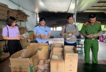 Thừa Thiên Huế xử phạt 19 cơ sở kinh doanh hàng giả, hàng không rõ nguồn gốc xuất xứ
