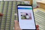 Hiệu quả từ truy xuất nguồn gốc bằng QR Code tại Ninh Bình