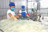 Bình Định: Hỗ trợ doanh nghiệp áp dụng hệ thống quản lý an toàn thực phẩm ISO 22000:2018