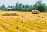Cần có tiêu chuẩn và quản lý rơm rạ theo hướng tuần hoàn