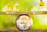 Thị trường carbon tuân thủ: Một mục tiêu hướng vào đạt nhiều đích