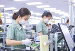 Đồng Tháp: Hỗ trợ doanh nghiệp nâng cao năng suất, chất lượng sản phẩm, hàng hóa 