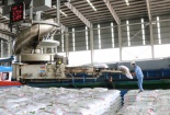 Phân bón Cà Mau: Dấu ấn phát triển xanh, bền vững
