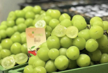 Tăng cường quản lý đối với mặt hàng nho sữa Trung Quốc nhập khẩu vào thị trường Việt Nam