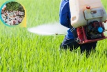 Thuốc bảo vệ thực vật sinh học, giải phát xanh cho nền nông nghiệp