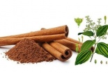 Bác sĩ chia sẻ lợi ích của quế trong việc hỗ trợ phòng ngừa bệnh ung thư