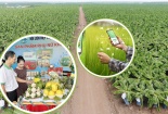 Chuyển đổi số trong sản xuất, kinh doanh - thúc đẩy OCOP Bình Dương tăng cả lượng và chất