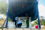 Phú Yên tạm giữ 35 tấn đường kính không hóa đơn chứng từ hợp pháp kèm theo