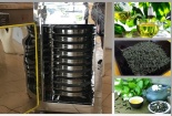 Ứng dụng công nghệ mới nâng cao chất lượng sản phẩm chè xuất khẩu