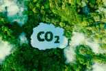 Dấu chân carbon: Đo lường và giảm thiểu tác động môi trường