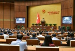 Lợi dụng môi trường mạng để tổ chức đánh bạc tăng cao