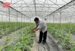 Ứng dụng công nghệ cao: Động lực phát triển bền vững cho nông nghiệp Thanh Hóa