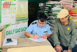 Chống buôn lậu, gian lận thương mại và hàng giả những tháng cuối năm