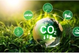 Kinh nghiệm thực tiễn vận hành thị trường carbon của một số quốc gia và bài học cho Việt Nam
