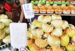 Bắc Giang: Tăng cường kiểm tra nguồn gốc trái cây nhập khẩu