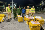 Thu giữ nội tạng hôi thối khi đang được mang đi tiêu thụ