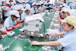 Vượt qua khó khăn, xuất, nhập khẩu nỗ lực về đích tháng cuối năm