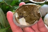Trào lưu ăn 'trứng thối': Hệ lụy nghiêm trọng cho sức khoẻ