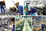 Quảng Trị tăng cường đổi mới sáng tạo và nâng cao năng suất qua ứng dụng khoa học công nghệ