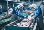 GSA cập nhật bản tiêu chuẩn chế biến hải sản mới nhất