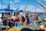Kế hoạch thực hiện Quy hoạch bảo vệ và khai thác nguồn lợi thủy sản thời kỳ 2021 – 2030