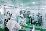 TCVN 13989:2024 nêu yêu cầu với nhà cung cấp nguyên vật liệu trong chuỗi cung ứng dược mỹ phẩm 
