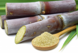 Việt Nam rà soát áp dụng chống lẩn tránh phòng vệ thương mại đối với một số sản phẩm đường mía