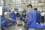 Triển khai có hiệu quả hoạt động năng suất chất lượng, thúc đẩy phát triển kinh tế - xã hội