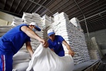 Quy định mới về kinh doanh xuất khẩu gạo của Việt Nam