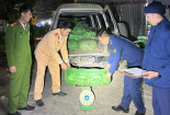 Cao Bằng: Thu giữ 1.389kg cây thuốc lá khô và vải may mặc nhập lậu