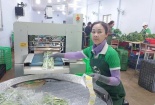 Gia Lai: Đẩy mạnh ứng dụng học công nghệ cao trong sản xuất nông nghiệp 