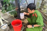 Kiên Giang: Xả thải vượt quy chuẩn, 4 nhà hàng bị phạt hơn 500 triệu đồng