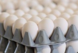 Canada cảnh báo nguy cơ nhiễm khuẩn salmonella, thu hồi nhiều nhãn hiệu trứng gà