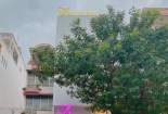 Shynh House 'năm lần bảy lượt' bị xử phạt
