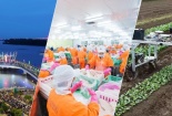 Cần Thơ tăng cường hỗ trợ doanh nghiệp nâng cao năng suất chất lượng